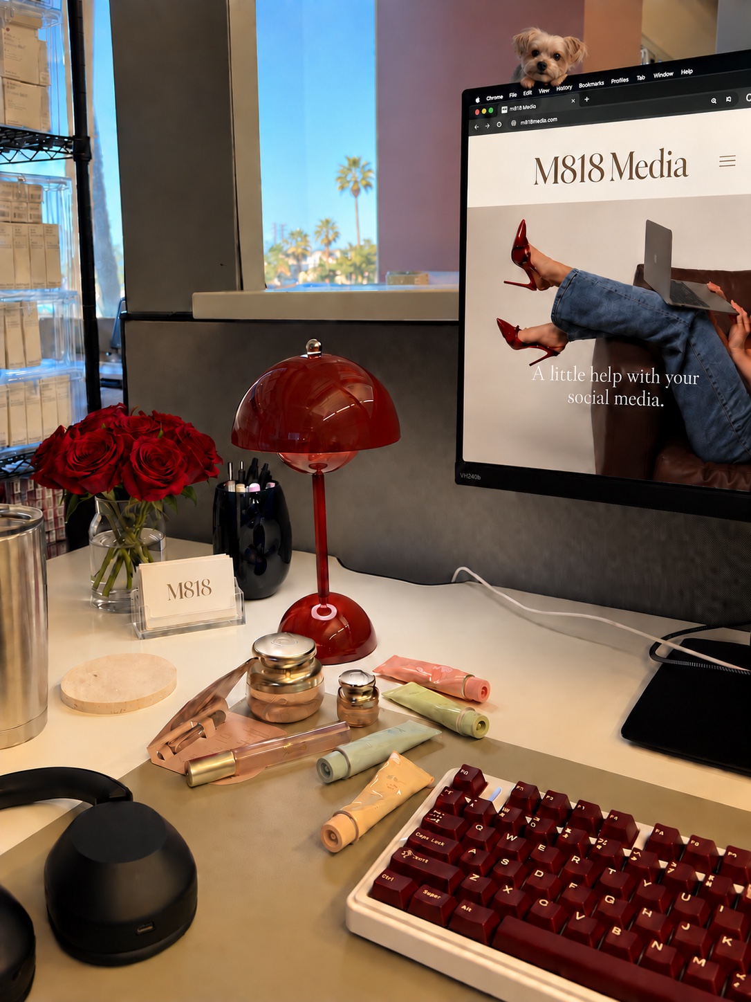M818 Media desk with roses, business cards, and a small Yorkie perched on the monitor